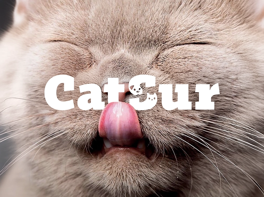 Catsur